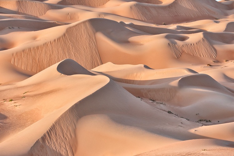 Comprehensive Efficiency Optimization