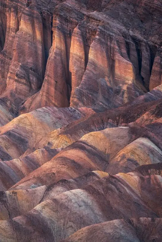 Client Introductions and Networking